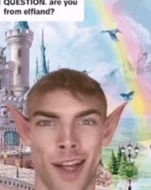 a man with elf ears is standing in front of a castle and a rainbow .