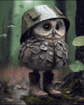 Little Owl GIF - Little Owl GIFs