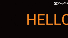 a black background with orange letters that says inger and capcut