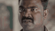 Frustrated Stare GIF - Frustrated Stare Angry GIFs