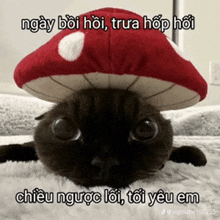 a cat wearing a mushroom hat is laying down
