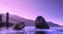 Seal Cute GIF - Seal Cute Swim GIFs