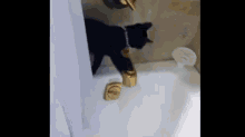 Hang In There It'S Almost Friday! GIF - Cat Water Bath GIFs