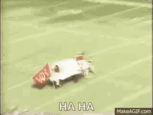 Sooner Schooner Wreck GIF - Sooner Schooner Wreck Fall Over GIFs