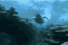 Tv Shows Television GIF - Tv Shows Television Ocean Girl GIFs