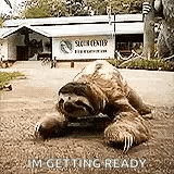 Sloth Crawling GIF - Sloth Crawling Slow - Discover & Share GIFs