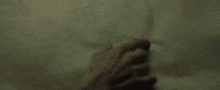 a close up of a person 's hand pointing at something on a piece of paper