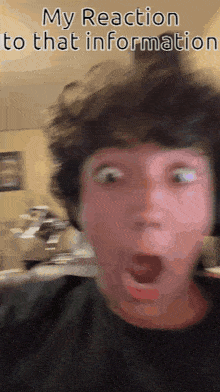 Luke Luke Cioffoletti GIF - Luke Luke Cioffoletti My Reaction To That Information GIFs