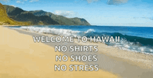a beach with the words welcome to hawaii on it