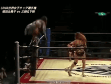 takako inoue all japan womens pro wrestling ajpw wrestlers jump on