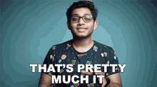 Thats Pretty Much It Anubhavroy GIF - Thats Pretty Much It Anubhavroy Thats It GIFs
