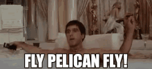 Fly Pelican Fly Scarface GIF - Fly Pelican Fly Scarface GIFs