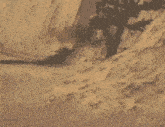 a car is driving down a dirt road next to a tree .