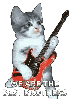a kitten is holding a red electric guitar with the words we are the best brothers below it