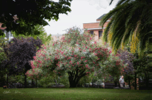 Zooming Barakaldo Zooming Tree GIF - Zooming Barakaldo Zooming Tree GIFs