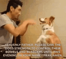 Prayer Dogs GIF - Prayer Dogs Dog GIFs