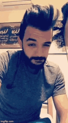 a man with a beard is wearing a gray shirt and looking at the camera