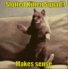 Kitten Squad GIF - Kitten Squad Kitten Squad GIFs
