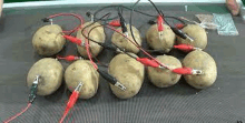 Potato Servers GIF - Potato Servers GIFs