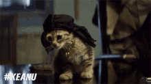 Gangsta Kitty GIF - Keanumovie Keanu Keyandpeele GIFs