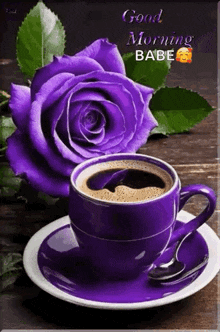 a cup of coffee on a saucer next to a purple rose on a table .