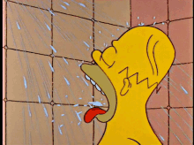 Homer Simpson GIF - Homer Simpson Simpsons GIFs