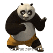 Kung Fu Panda Karate GIF