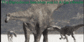 the diplodocid banishes you to antip 's realm is written on a poster