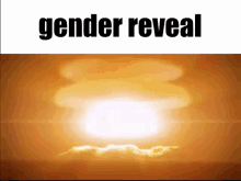 Gender Reveal Nuke GIF - Gender Reveal Nuke Gender GIFs