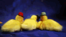 There'S Something For Everybody Here On The Internet GIF - Ducks Coins GIFs