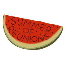 summer of reunions watermelon reunions family reunions family