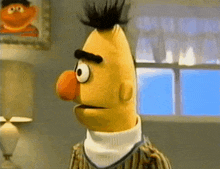 a close up of bert from sesame street