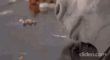 a group of people are standing around a cow with horns .