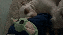 a white dog laying on a bed next to a green stuffed animal