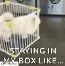 Dogs Cant Stop Me GIF - Dogs Cant Stop Me Funny Animals GIFs