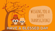 Thanksgiving Happy GIF - Thanksgiving Happy Blessed GIFs
