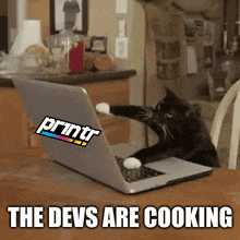a black cat is using a laptop with a printr sticker on it