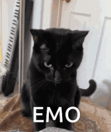 Emo Emo Cat GIF - Emo Emo Cat Toothless GIFs