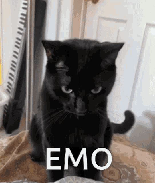 Goth Girl's Sad Cat Dance 