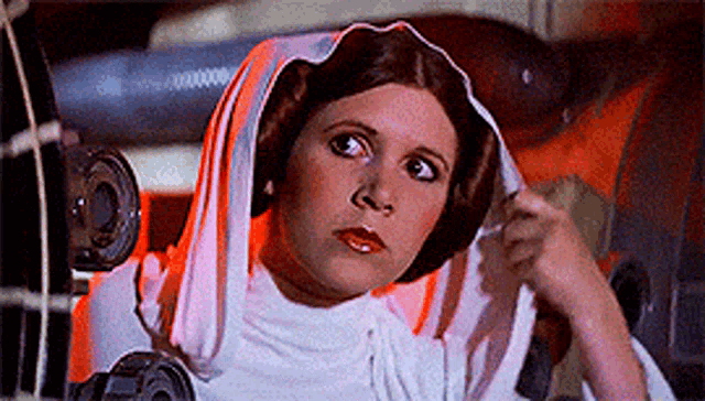 carrie fisher dieulois