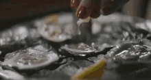 oyster lemon food porn fresh kerang