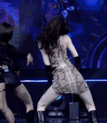 a woman in a snake print dress is dancing on stage .