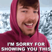 Im Sorry For Showing You This Mr Beast GIF - Im Sorry For Showing You This Mr Beast Apologies GIFs