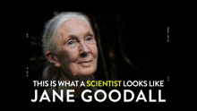 Jane Goodall Scientist GIF - Jane Goodall Scientist This Is What A Scientist Looks Like GIFs