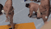a sumo wrestler is kneeling down while another wrestler stands nearby