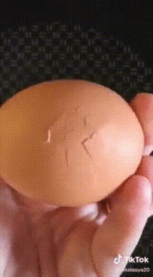 蛋殼手指 Egg GIF - 蛋殼手指 Egg Crack GIFs