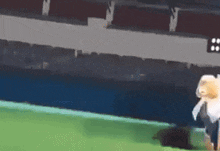 a teddy bear is walking on a soccer field in front of a stadium .