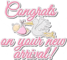 Congratulations Stork GIF - Congratulations Stork Baby GIFs