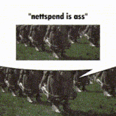 Nettspend Is GIF