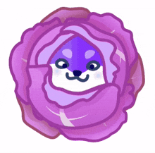 doge cabbage purple